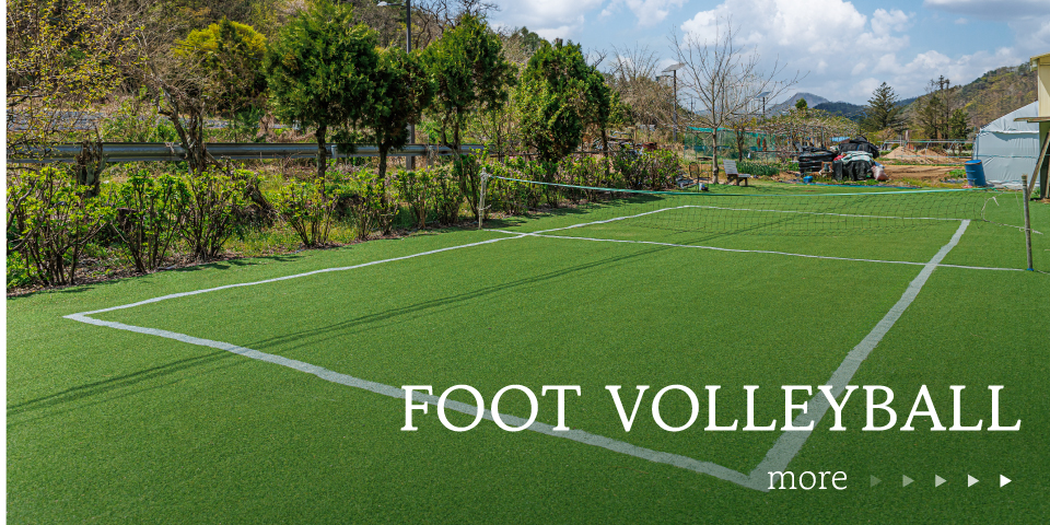 footvolleyball